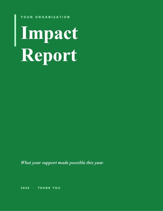 Nonprofit impact report template preview